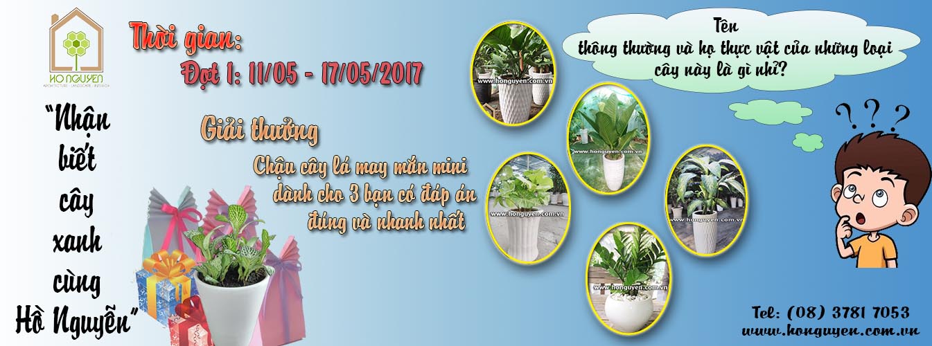 Nhận Biết Cây Xanh Cùng Hồ Nguyễn